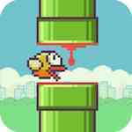 Squishy Bird Squishy Bird